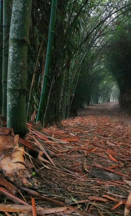 ***  Wayanad Village Resort Koroth India