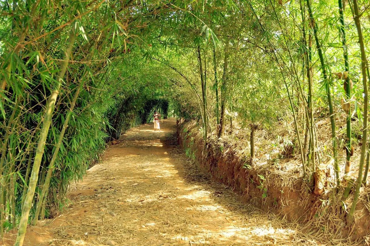 Wayanad Village Resort Koroth