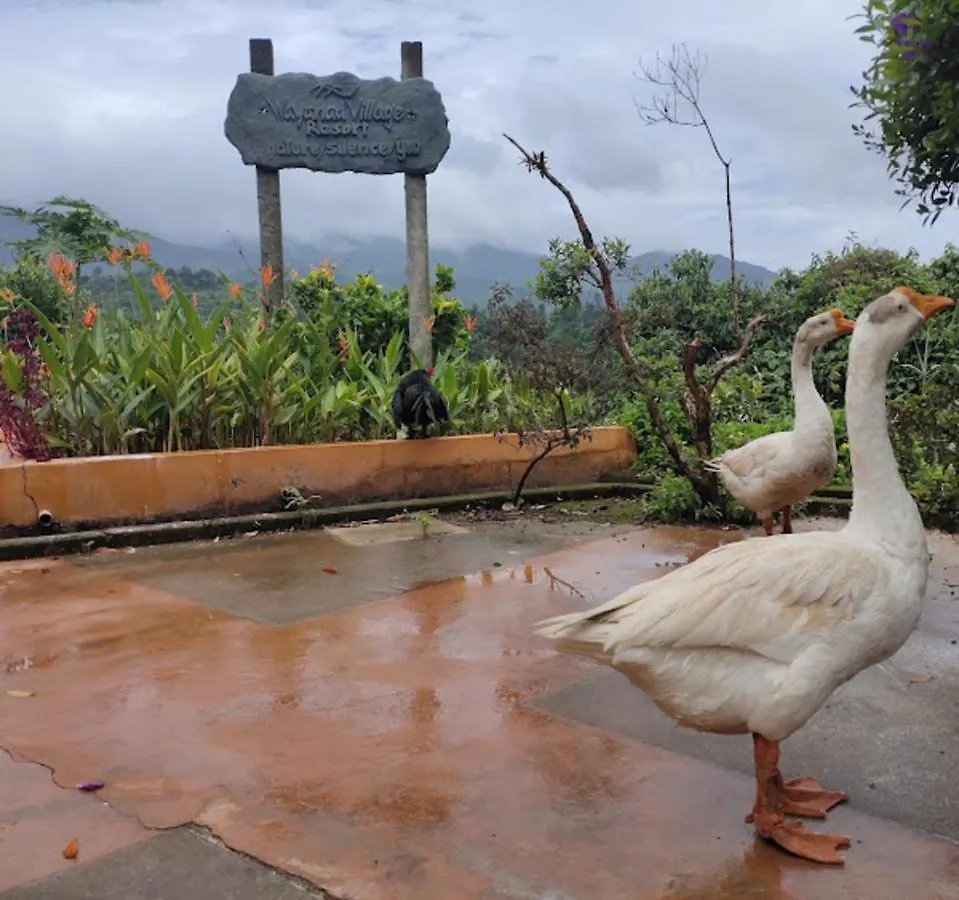 ***  Wayanad Village Resort Koroth India